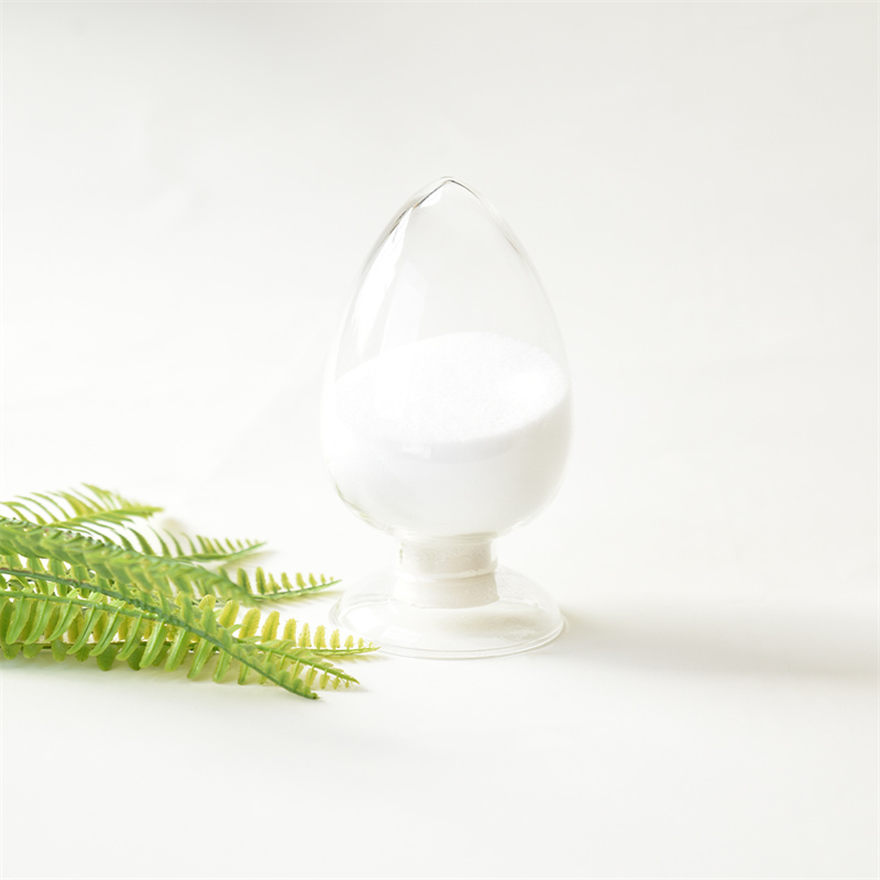Citicoline sodiwm CAS 33818-15-4