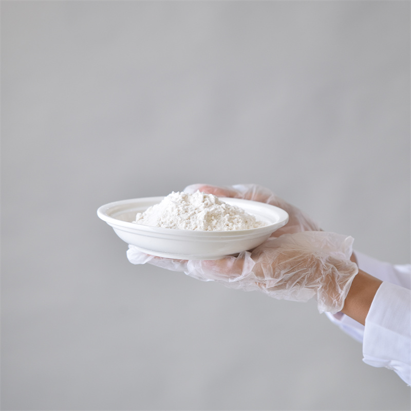 Hydroxypropyl methyl cellwlos CAS 9004-65-3